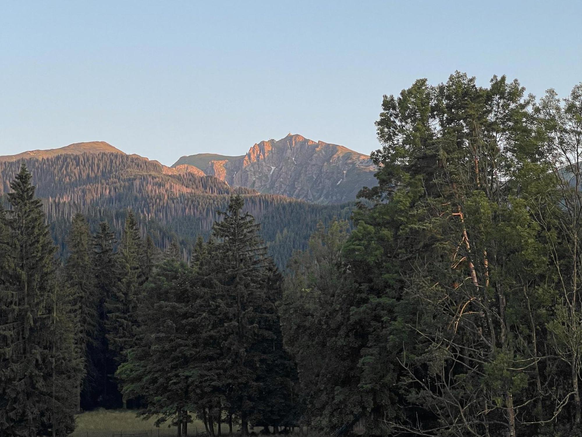 Rezydencja Owca Na Szlaku Aparthotel Zakopane Buitenkant foto